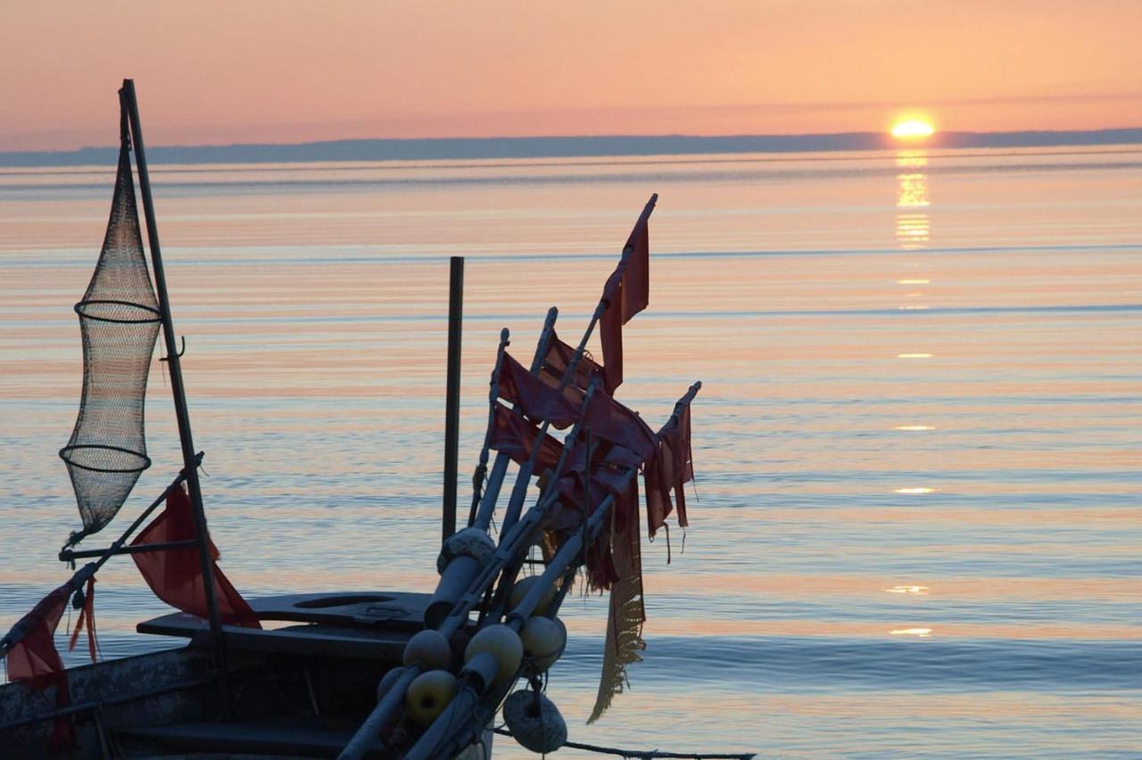 Fewo Seeblick - Familien - Hunde - Strandnah - Ostseeblick - Sauna & Wellness Sierksdorf Exteriér fotografie
